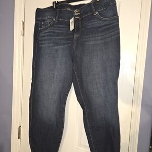 Torrid Dark Indigo Jeggings